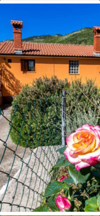Diana Apartman Brsec Exterior photo
